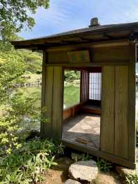 A Day of Quiet Beauty in Fukui