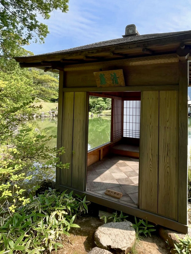 A Day of Quiet Beauty in Fukui