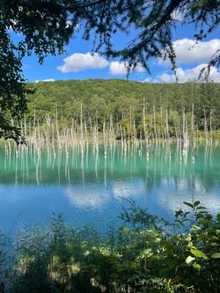 Unprocessed Beauty: A Stunning Sapphire Blue Pond to Visit 🫣