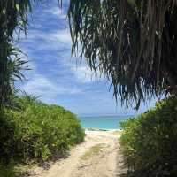 与論島🏝️無料で楽しめる観光スポット