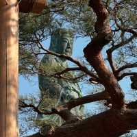 🏯🌸 Kanazawa Castle Park Weekend Itinerary: Samurai Grandeur & Japanese Gardens