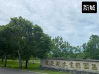 龍泉親水生態園區  新城 🪷荷花