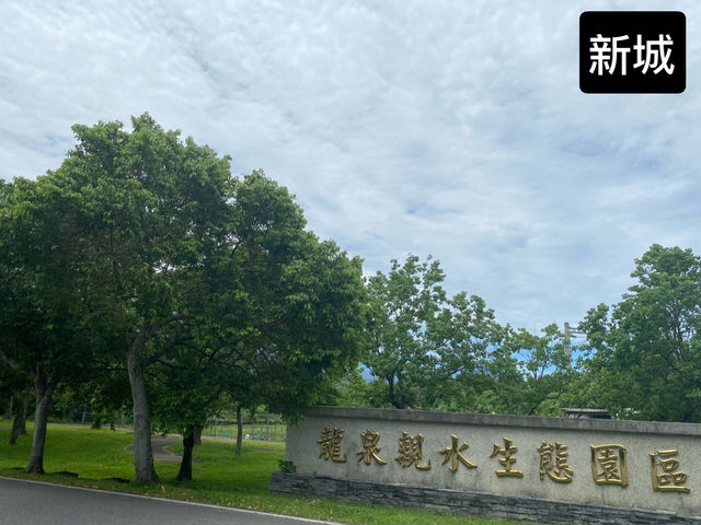 龍泉親水生態園區  新城 🪷荷花