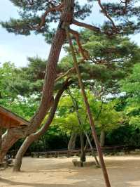 아름다운 풍경과 배움이 함께하는 곳