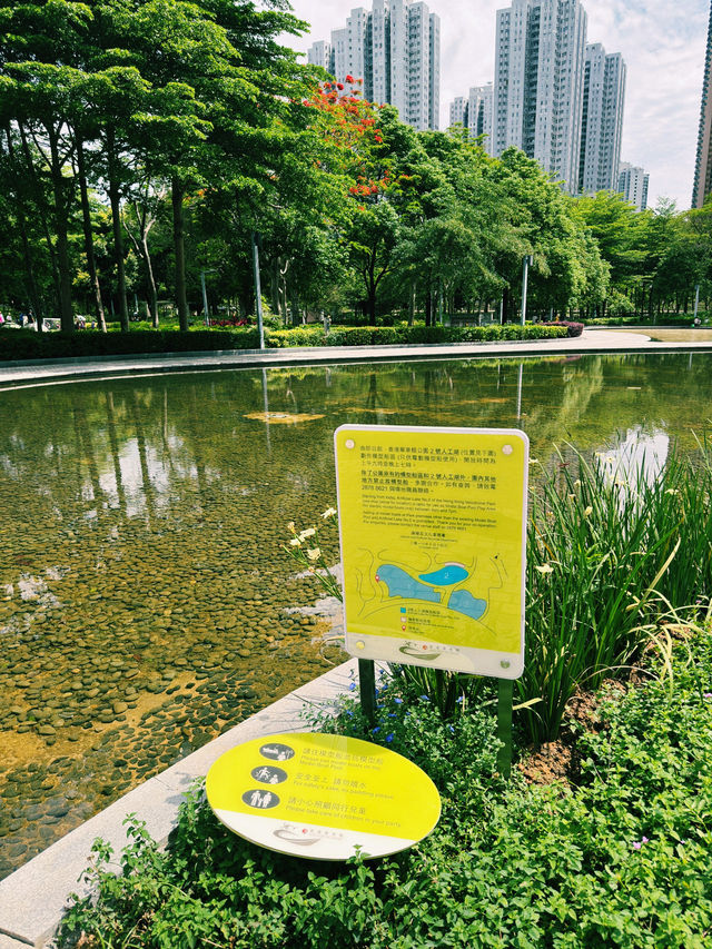端午節漫遊指南｜香港單車館公園的節日魅力