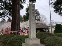 🌸【枝垂櫻與靜心古寺的邂逅】春日私藏景點：水戶大師六地藏寺一日小旅行