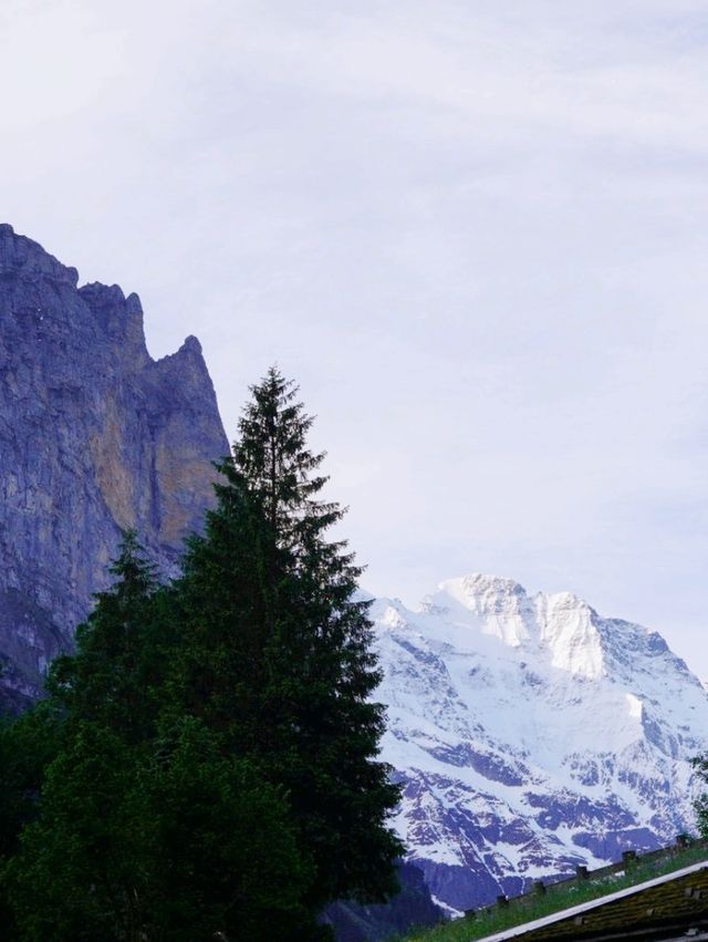  Camping Jungfrau: Where Waterfalls Whisper and the Stars Watch Over You