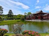 宇治 平等院