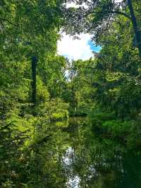 Tiergarten – Berlin’s Iconic Green Escape