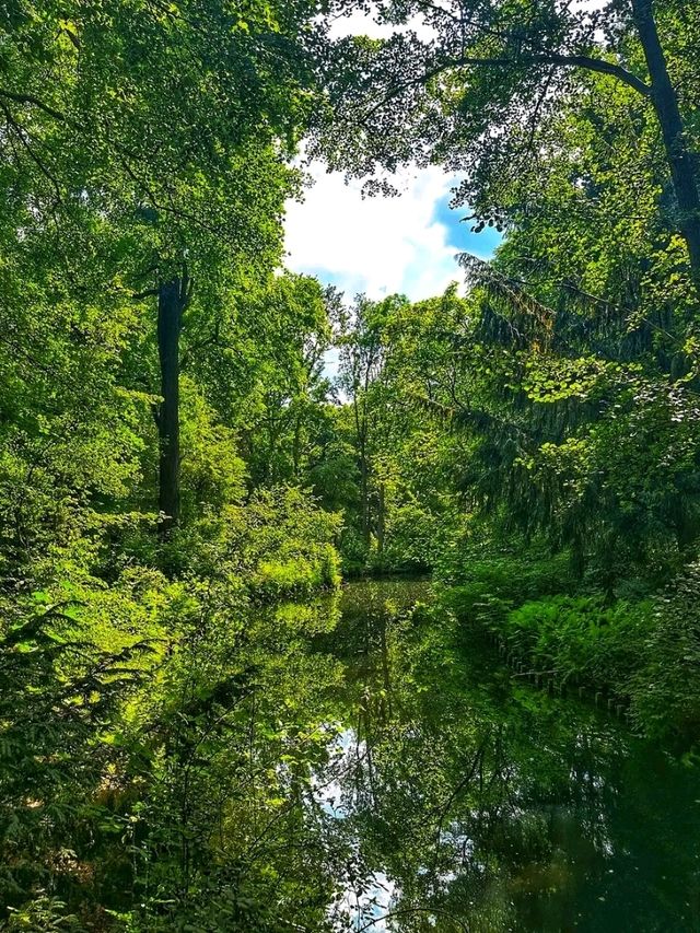 Tiergarten – Berlin’s Iconic Green Escape