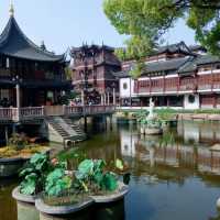 Lost in the Luminous Heart of China: Shanghai!🏙️