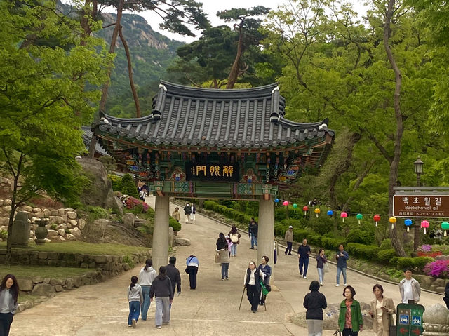 따스한 봄 분위기와 고즈넉한 한옥을 즐길 수 있는 여행지, 은평한옥마을🇰🇷