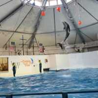 水族館も遊園地も両方楽しめる❣️王道観光スポット