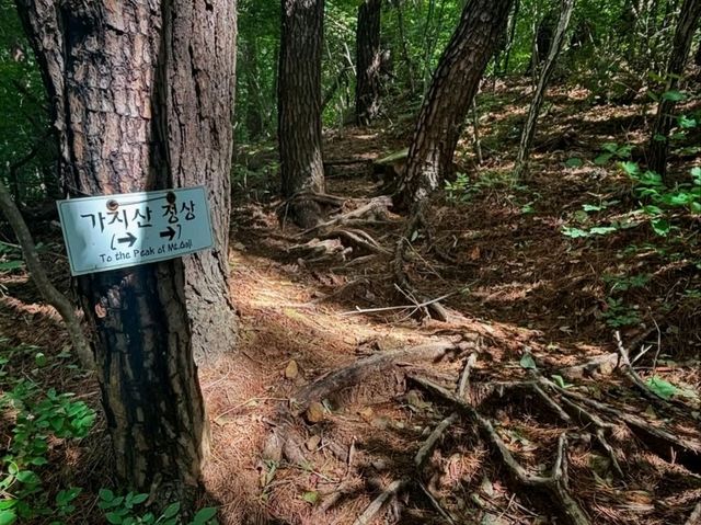 Temples, Trails, and Tired Legs