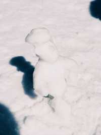 能夠吃到日本三大和牛之一近江牛的滑雪場！