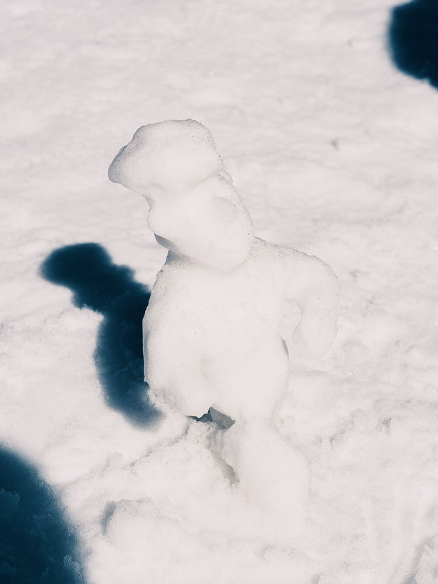 能夠吃到日本三大和牛之一近江牛的滑雪場！