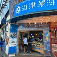 Numazu | Locals Skip Kamakura for This Charming Fishing Town! 🎣🏖️