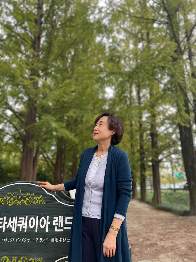 담양 죽녹원과 메타세콰이어랜드