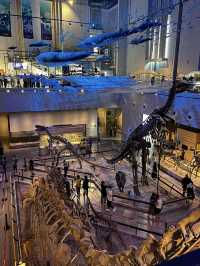 Guangdong Museum – Layers of Culture Under One Roof