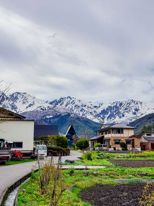 วิวจาก Snow Peak Hakuba