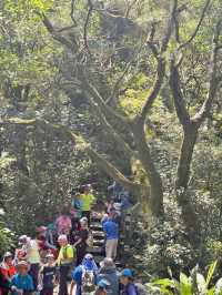 週末去哪裡 ｜ 象山登高望遠野餐趣