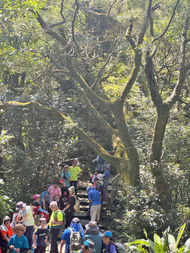 週末去哪裡 ｜ 象山登高望遠野餐趣