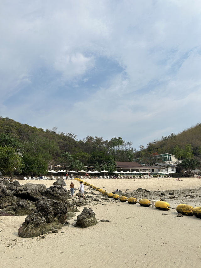 One day trip Pattaya - Koh Larn