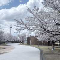 富山環水公園の景色