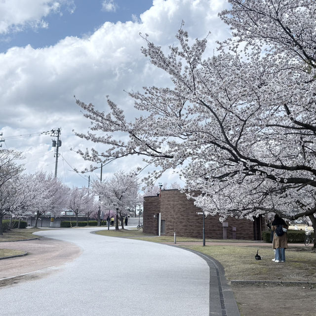 富山環水公園の景色