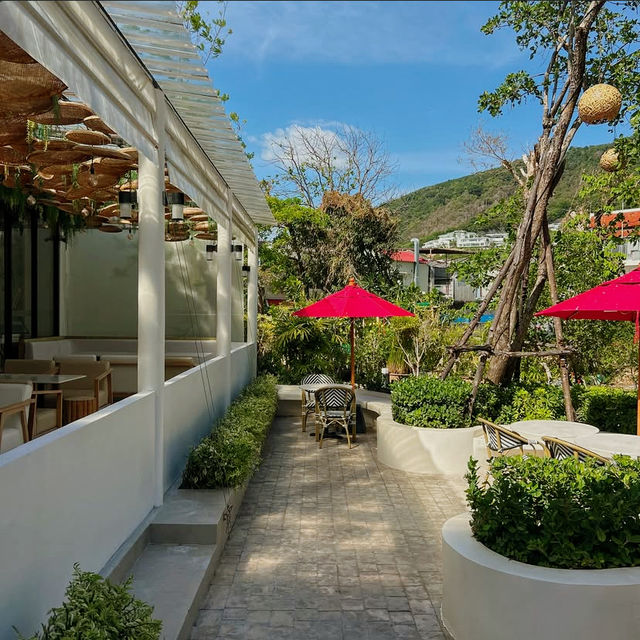 A Culinary Journey Through Thai Tradition