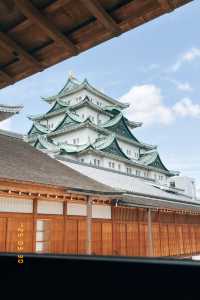 🪙黃金和老虎🐯！名古屋城與黃金帳壁畫