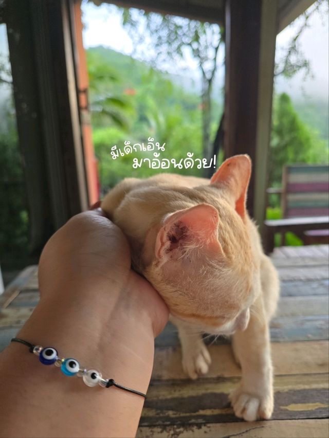 ราชรีที่รัก