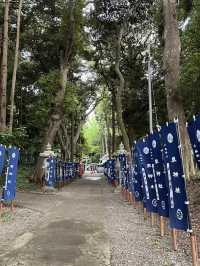 📍**【茨城・日立 泉神社（龍泉神社）】清泉と“龍の宿る木”が生むパワースポットで心を潤す旅**