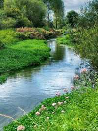 Pearl River
