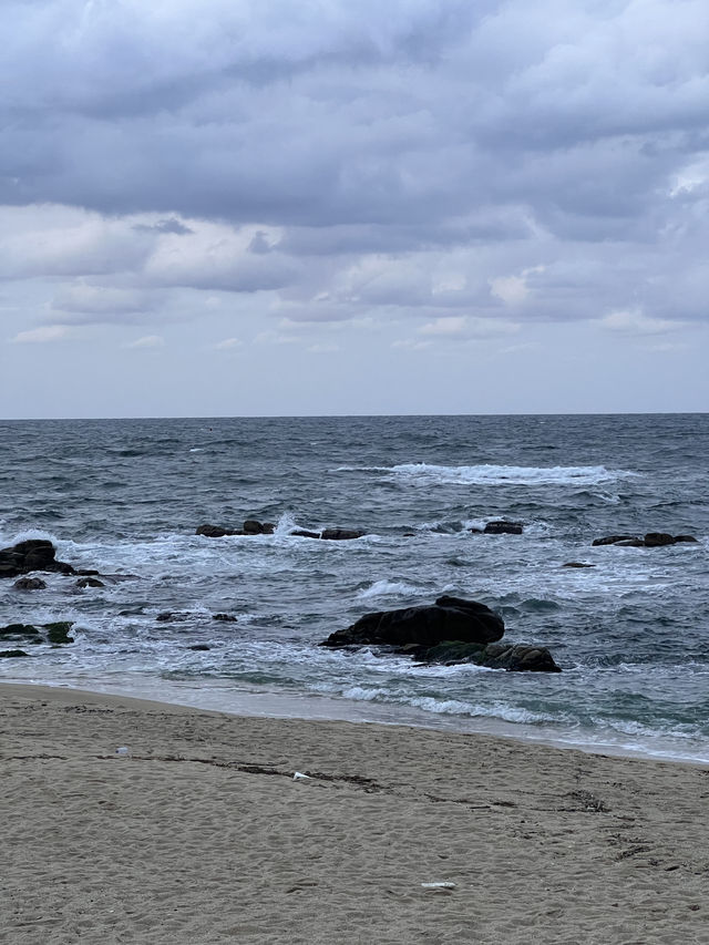 강릉 감성숙소 오르도🌊✨