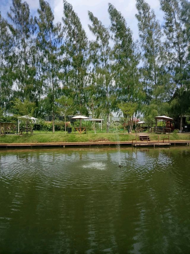 คาร์ฟ คอฟฟี่ - Carp Café