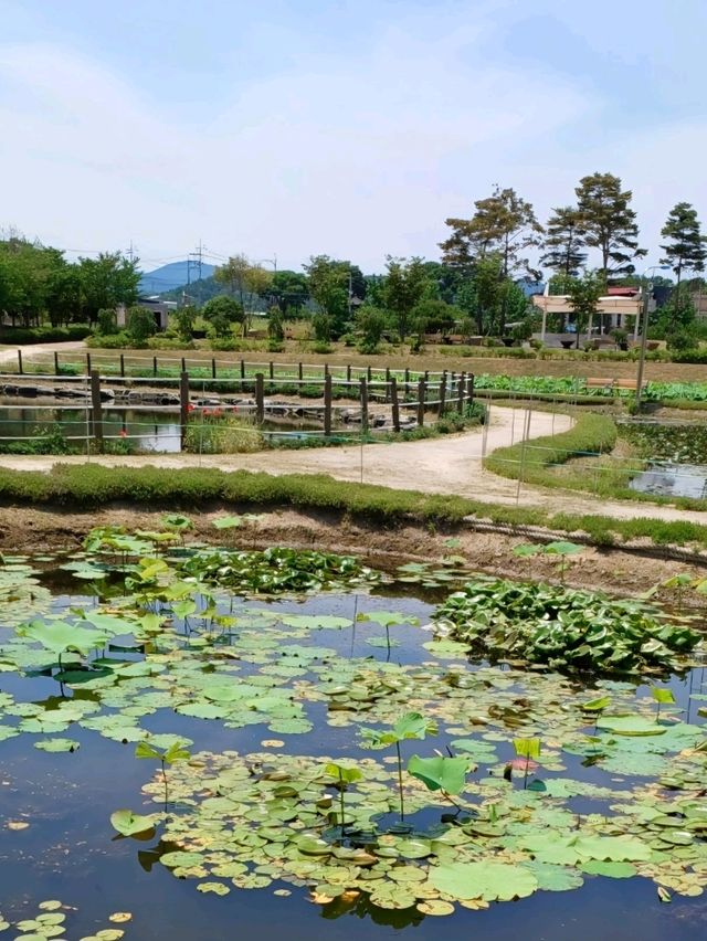 계절을 기다리는 시작점, 삶의 리듬을 채우는 공간