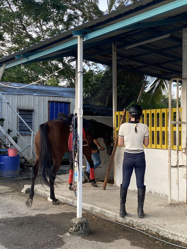 Giddy Up, Cyberjaya! Exploring 3S Equestrian for a Weekend Reset