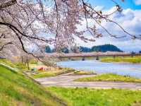 แม่น้ำฮิโนะคิไน (Hinokinai River / 檜木内川) 
