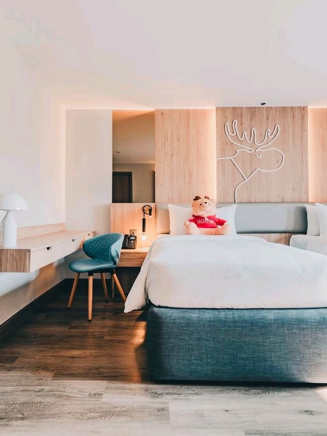 치앙마이에서 놓치지 말아야 할 아늑한 호텔 - Moose Hotel Nimman