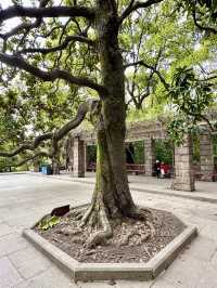 Where words rest: A visit to Lu Xun’s final sanctuary in Shanghai