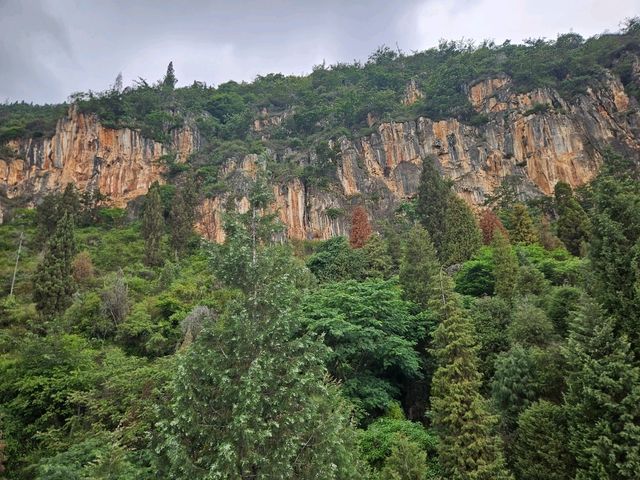 Half Day in Kunming