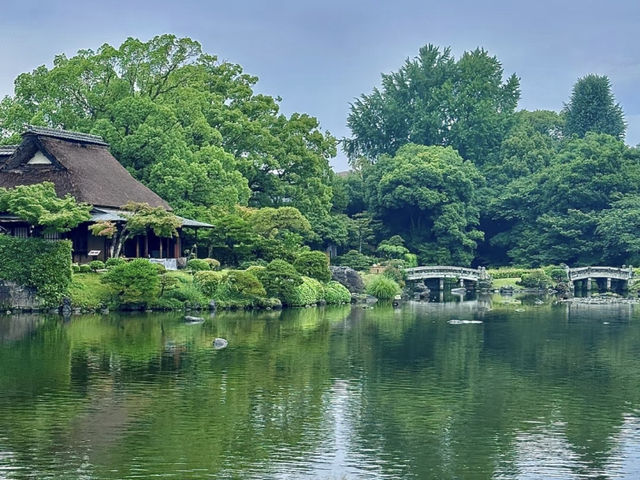 Kumamoto's Suizenji Garden: Matcha-Filled Even in the Rain! ☔️🍃