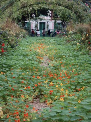 Giverny Town + Monet Garden Guide｜Step into the Real Inspiration of an Impressionist Painter