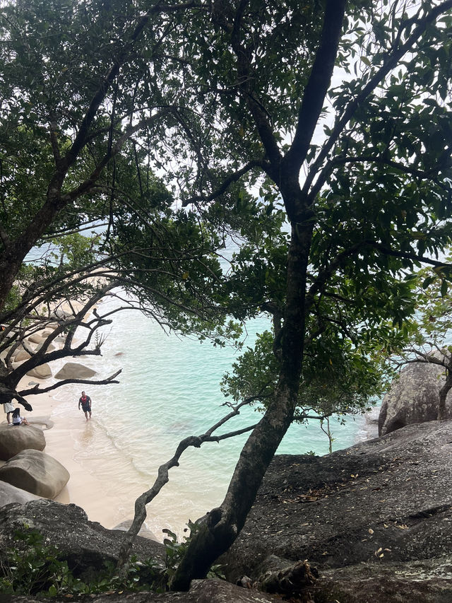 Fitroy island parados 