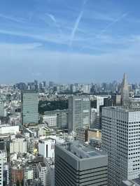 🏢【新宿都庁展望台】無料で東京の絶景を楽しめる穴場スポット！