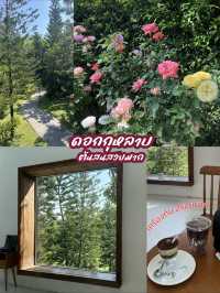 คาเฟ่แม่ริม เชียงใหม่ 🌸💐