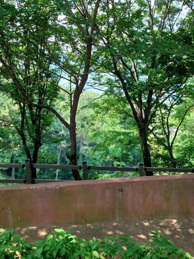 멋진 경치 감상