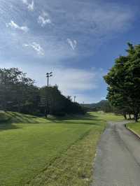 소노펠리체 델피노cc