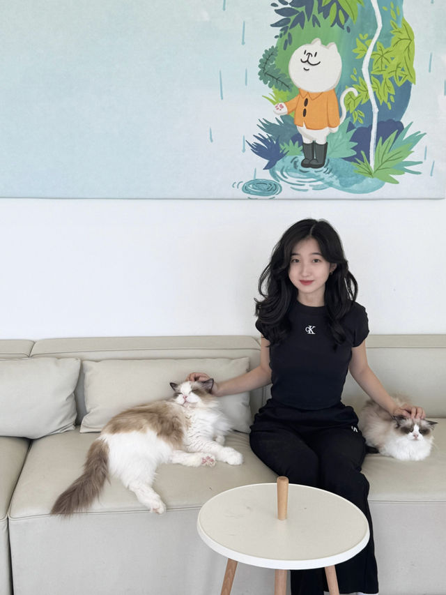 🐾 앨리웨이 광교에서 만나는 고양이 천국, 캣플헤븐